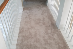 Mohawk Carpet