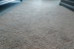 Mohawk Carpet